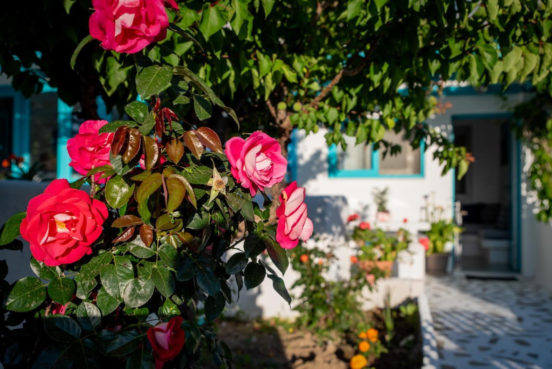 Azzurro Naxos, Azzurro I - Azzurro II - Azzurro III Apartment Naxos City ภายนอก รูปภาพ