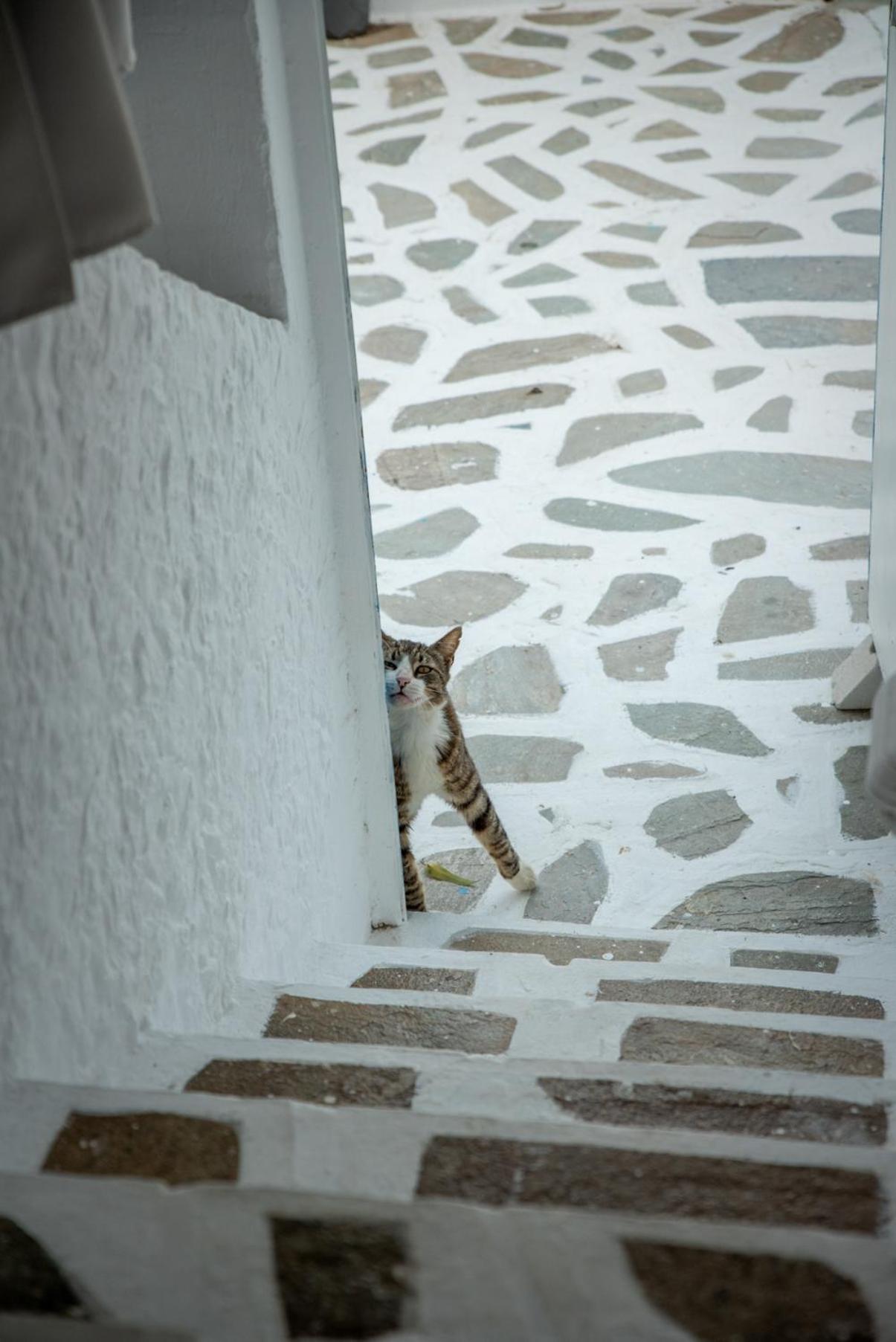 Azzurro Naxos, Azzurro I - Azzurro II - Azzurro III Apartment Naxos City ภายนอก รูปภาพ